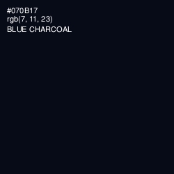 #070B17 - Blue Charcoal Color Image